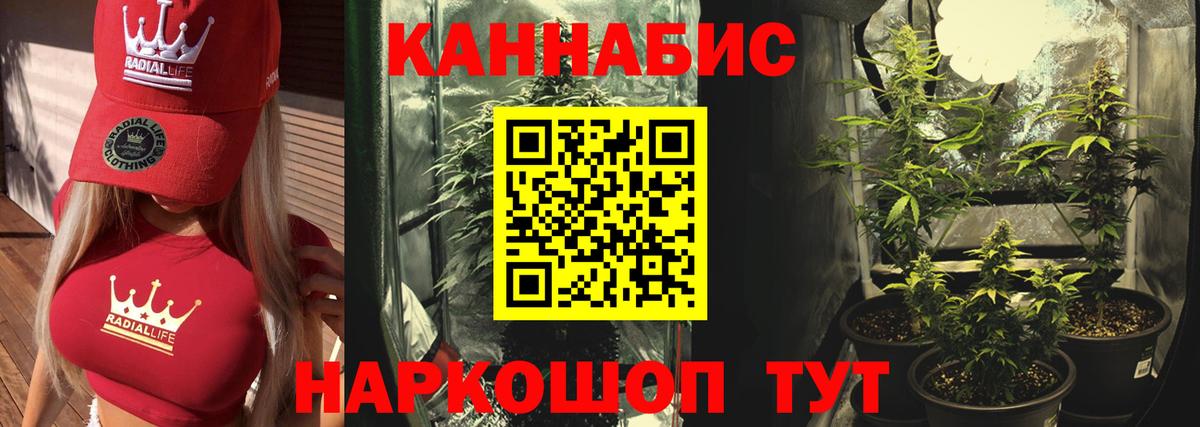 Канабис сатива Джанкой